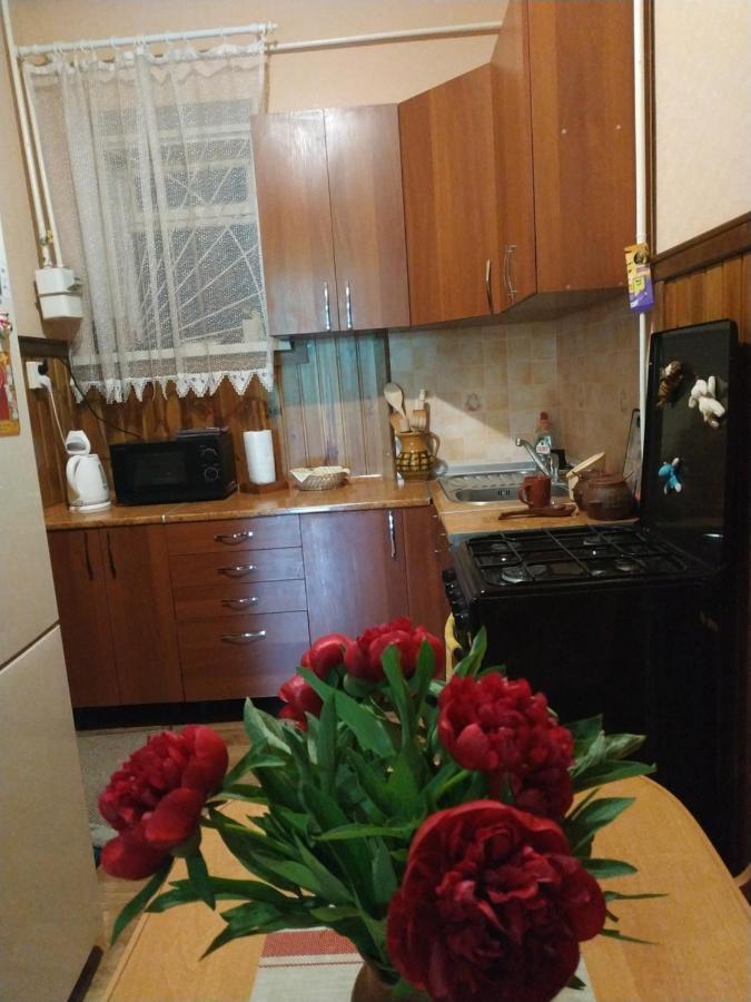Apartment In The Center Of Old Town Kamjanyi Potoki Kültér fotó